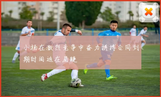 小杨在激烈竞争中奋力拼搏合同到期时间迫在眉睫