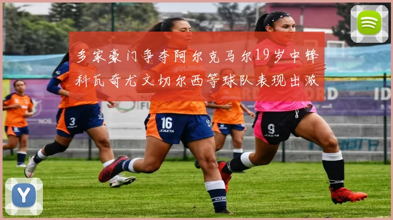 多家豪门争夺阿尔克马尔19岁中锋科瓦奇尤文切尔西等球队表现出浓厚兴趣
