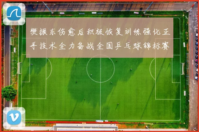 樊振东伤愈后积极恢复训练强化正手技术全力备战全国乒乓球锦标赛